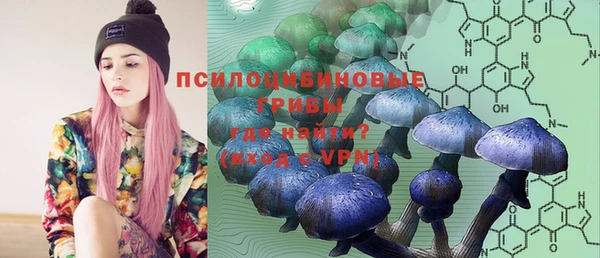 мяу мяу мука Верхнеуральск