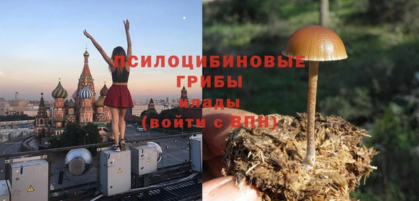 молекула духа Верея