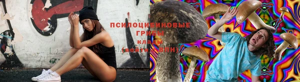 мяу мяу мука Верхнеуральск