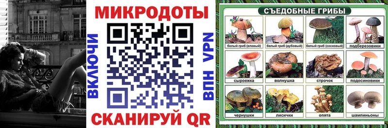 купить наркоту  Славянск-на-Кубани  Галлюциногенные грибы Magic Shrooms 